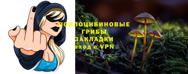 шишки Абинск